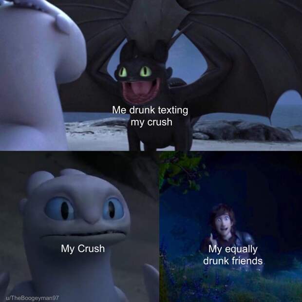 Toothless dragon and Light Fury memes