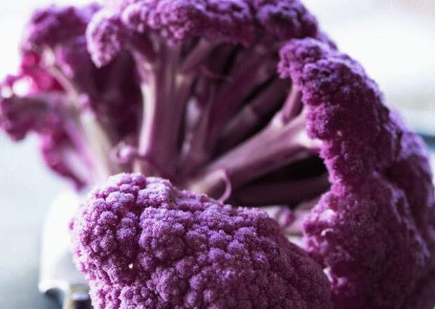 Соцветия фиолетовой цветной капусты