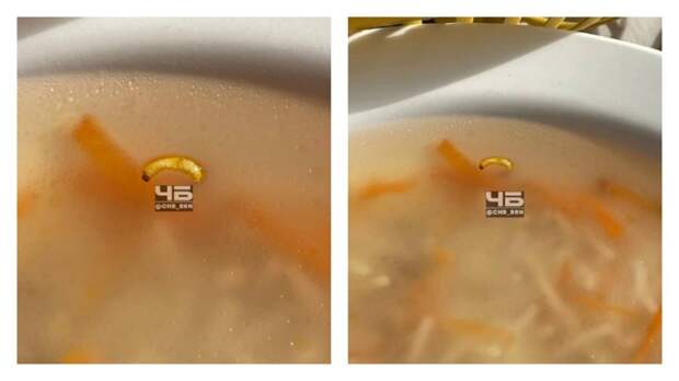 Суп с личинкой получил студент-льготник в столовой алтайского колледжа