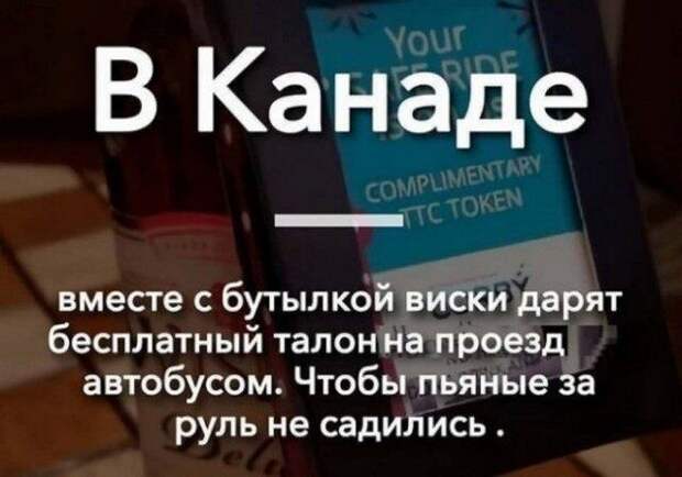 Алкоюмор