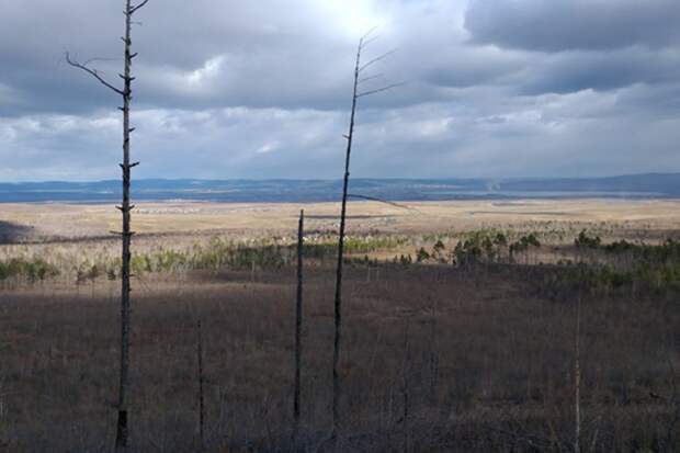 Место захоронения Имана Фарзалиева