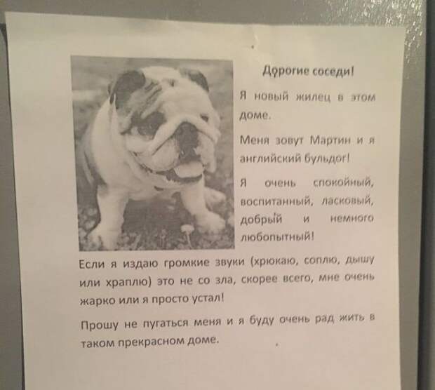 Подборка картинок. Дневной выпуск (24 фото)