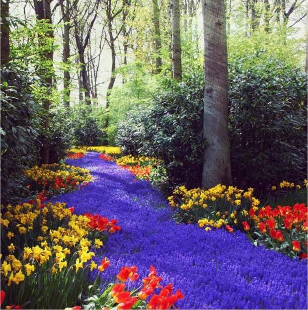 Всякая прикольная всячина, фото и картинки 46