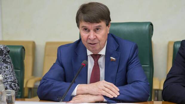 Сенатор Цеков отреагировал на планы ВВС США продолжить полеты в небе над Черным морем