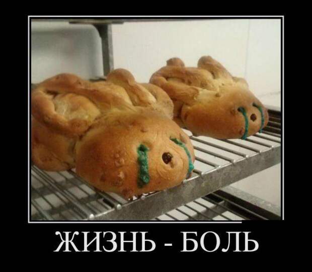 Пачка весёлых демотиваторов