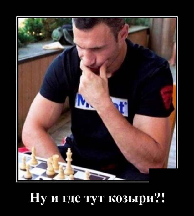 Демотиваторы (20 фото)