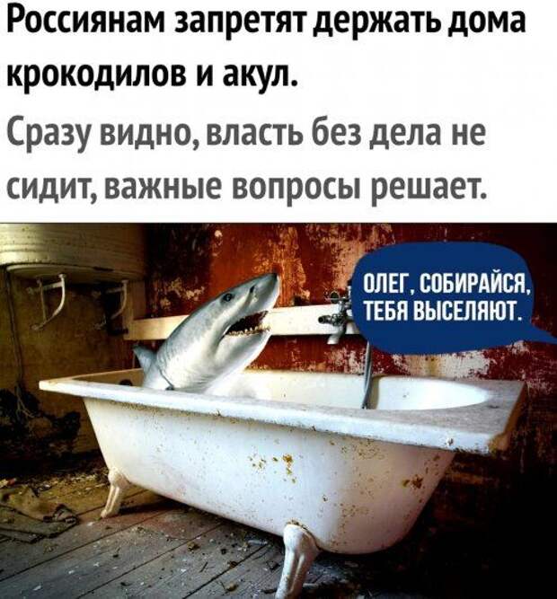 1579359375_lol-13.jpg