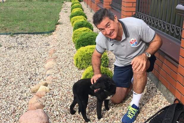 Собачка по кличке «Спасибо». Как испанские тренеры могут стать хозяевами белорусского пса всемирный день животных, гандбол, животные