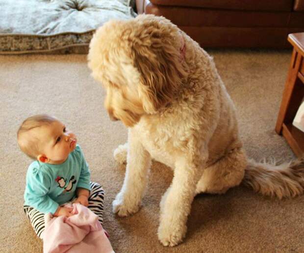 children-with-pets-1