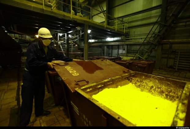 Желтый кек или концентрат природного урана – конечный продукт предприятия, который упаковывается в специальные контейнеры...