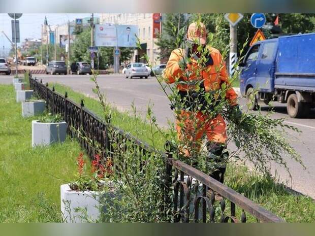 Три сотни деревьев должны высадить на Новобульварной