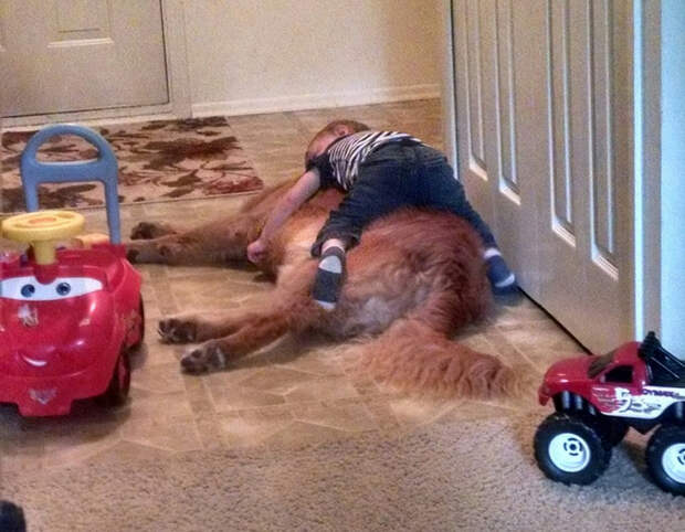 20590762_original (700x545, 386Kb)