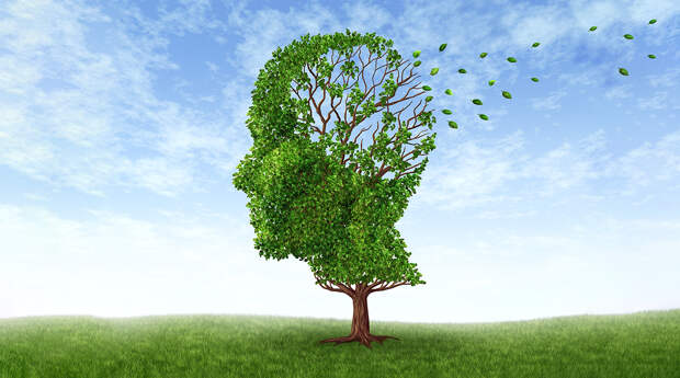 Болезнь Альцгеймера может оказаться не совсем болезнью мозга: ученые