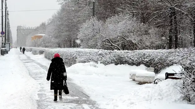 В Петербурге высота сугробов достигла 19 сантиметров
