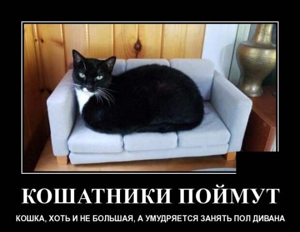 Демотиваторы (20 фото)