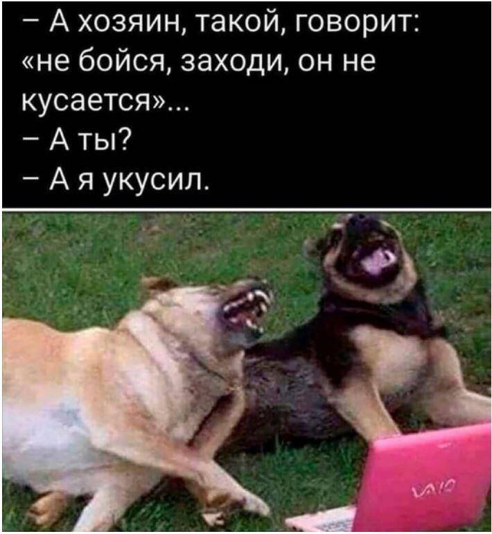 смешные картинки с надписями (7)