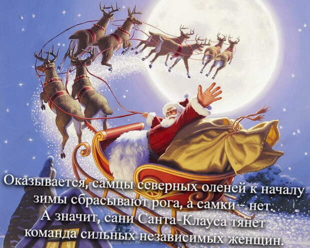 Северные олени
