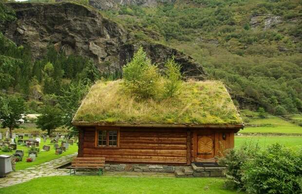 Для чего норвежцы даже в 21 веке продолжают высаживать траву на крышах своих домов