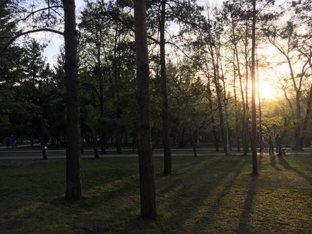Синоптик центра "Фобос" спрогнозировал умеренно тёплое лето в России