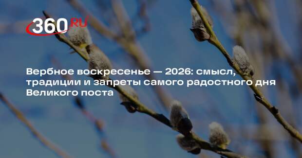 Священник Бородин объяснил, почему Иисус въехал в Иерусалим на осле