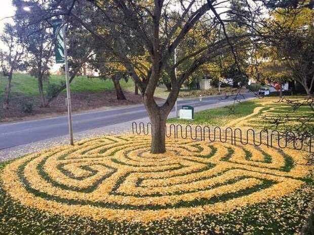 Фото, в которых нет фотошопа