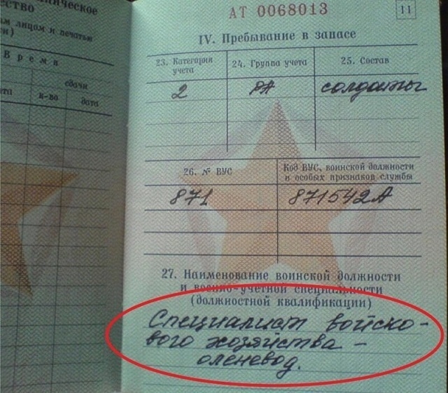 Подборка очень точных записей в военных билетах