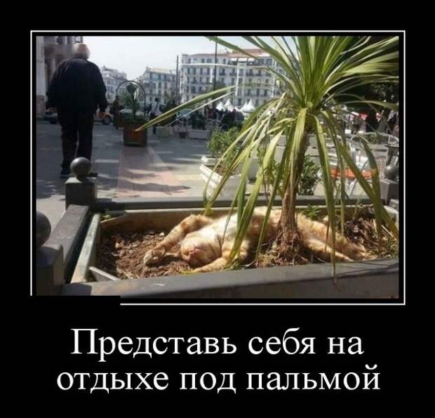 Демотиваторы (30 фото)
