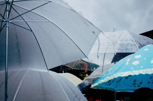 Синоптик Позднякова предупредила москвичей о дождях на следующей неделе