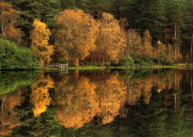 Фото Роджера Меррифилда Фото Роджера Меррифилда