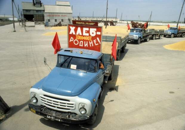 Транспортировка урожая с полей крымского совхоза "За мир", 1981 год