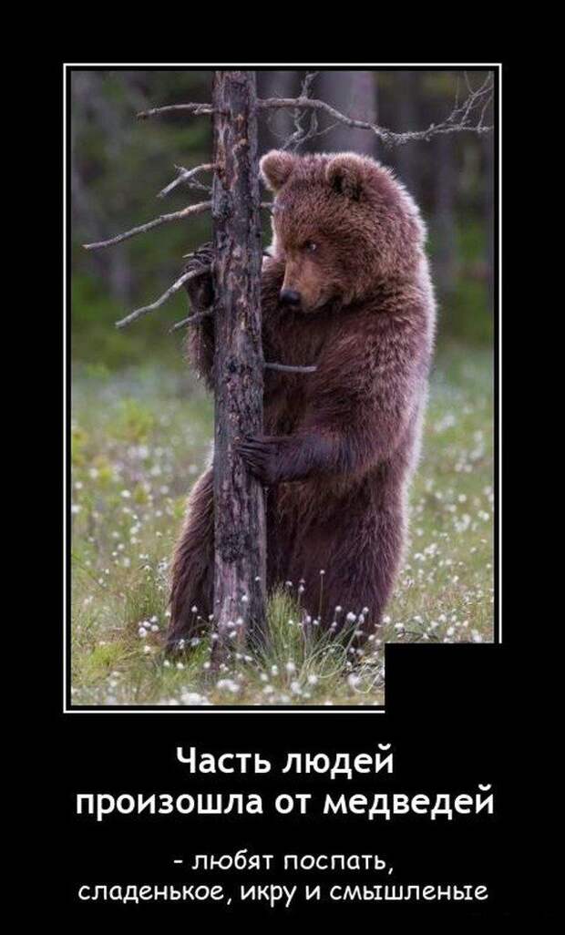 demotivatory-demotivator-smeshnye-demotivatory-demotivator-so-smyslom