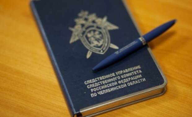 Главе ведомства будет представлен доклад о расследовании обстоятельств совершения противоправных действий в отношении подростка в Челябинске