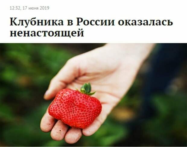 Креативные новостные заголовки на грани кликбейта Креативные новостные заголовки на грани кликбейта газеты, заголовки, мастер пера 80 лвл, пресса, скриншоты, смешно, статьи, юмор