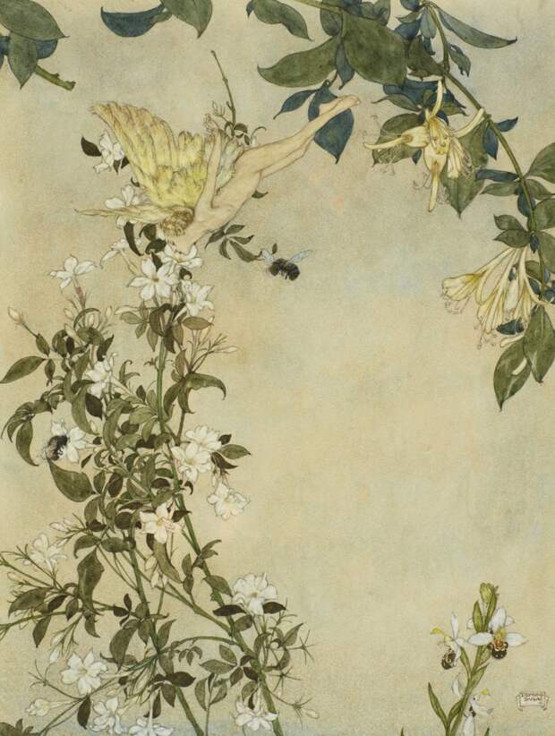 Где пчела берет нектар, там и я (Where The Bee Sucks, There Suck I)_33.2 х 24.3_акварель и тушь_Частное собрание.jpg Где пчела берет нектар, там и я (Where The Bee Sucks, There Suck I)_33.2 х 24.3_акварель и тушь_Частное собрание.jpg