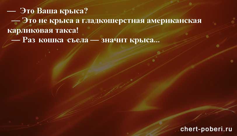 Самые смешные анекдоты ежедневная подборка chert-poberi-anekdoty-chert-poberi-anekdoty-05540603092020-10 картинка chert-poberi-anekdoty-05540603092020-10