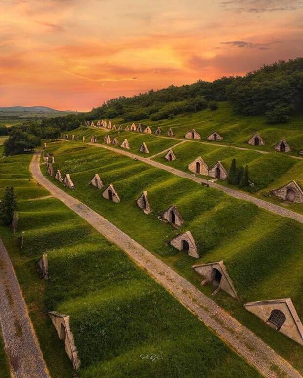 Винные погреба встроены в террасы Gombos Hill ровными рядами. | Фото: safereactor.cc.