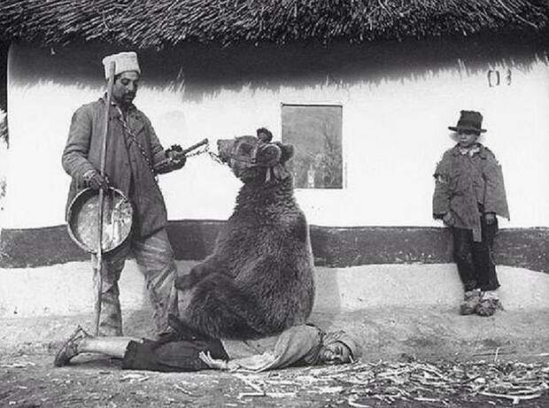 Массаж спины прирученным медведем. Румыния, 1940-й. интересное, история, кадр, прошлое, фото