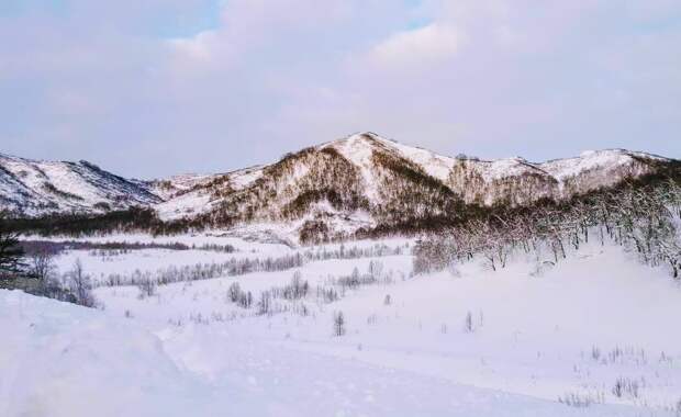 Фото из личного архива. И здесь дубы не растут.