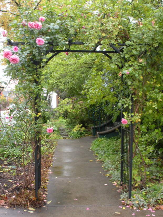 arbor-and-archway-in-garden1-15.jpg