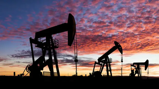 В Индии не исключают вариантов поставок нефти из России