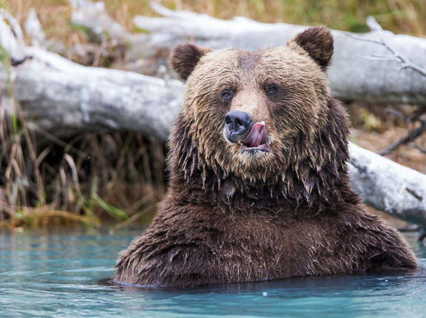 Лучшие фотографии National Geographic ноября 2014