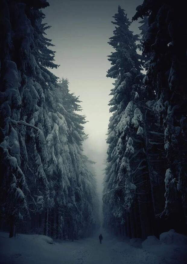 Дороги в сказку
