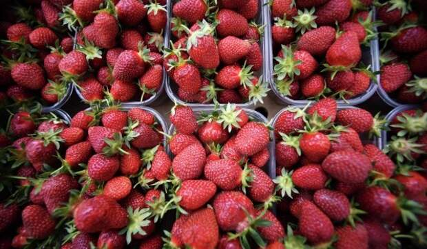 Врач Жарова заявила, что употребление ягод помогает в профилактике болезни Альцгеймера