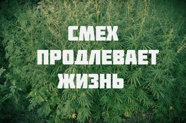 Всё в кучу 22