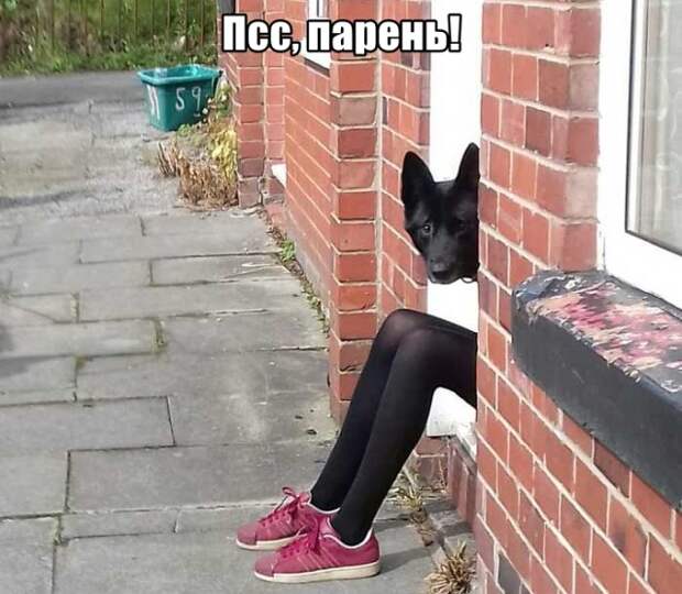www.vsyako.net