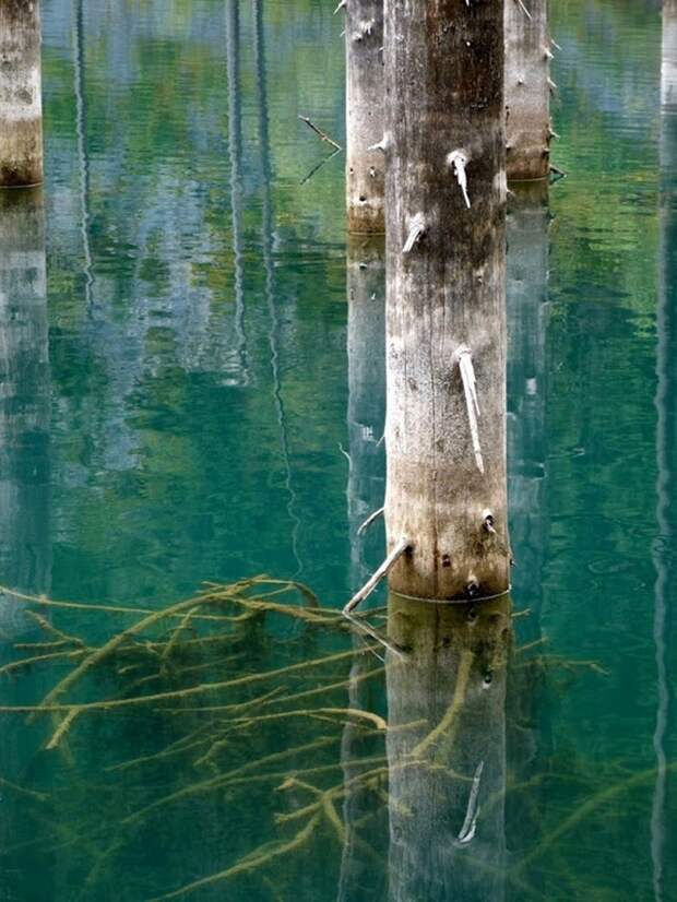 Затопленный лес озера Каинды, Кайнды, (Lake Kaindy), КазахстанЗатопленный лес озера Каинды, Кайнды, (Lake Kaindy), Казахстан