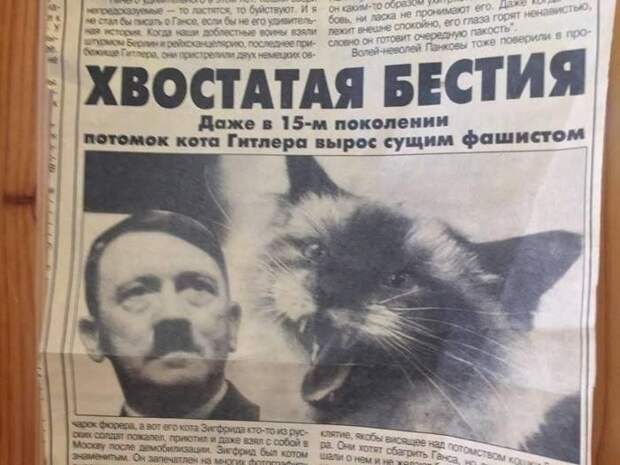 www.vsyako.net