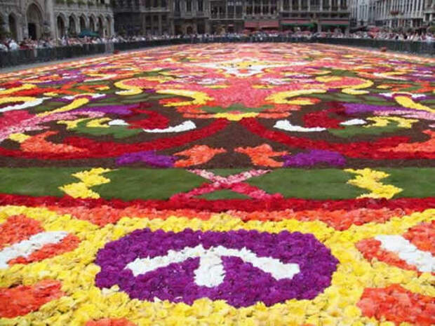 flower carpet4 The Giant Flower Carpet of Brussels 