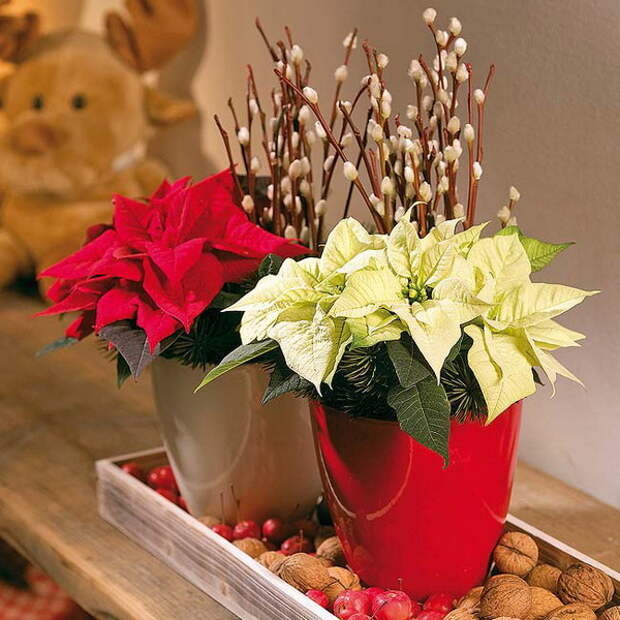 home-flowers-in-new-year-decorating1-11.jpg