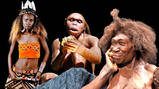 Сложная популяционная история и модели примеси в роду людей. Неандертальцы, денисовцы, эректусы и др.